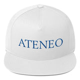 Flat Bill Cap